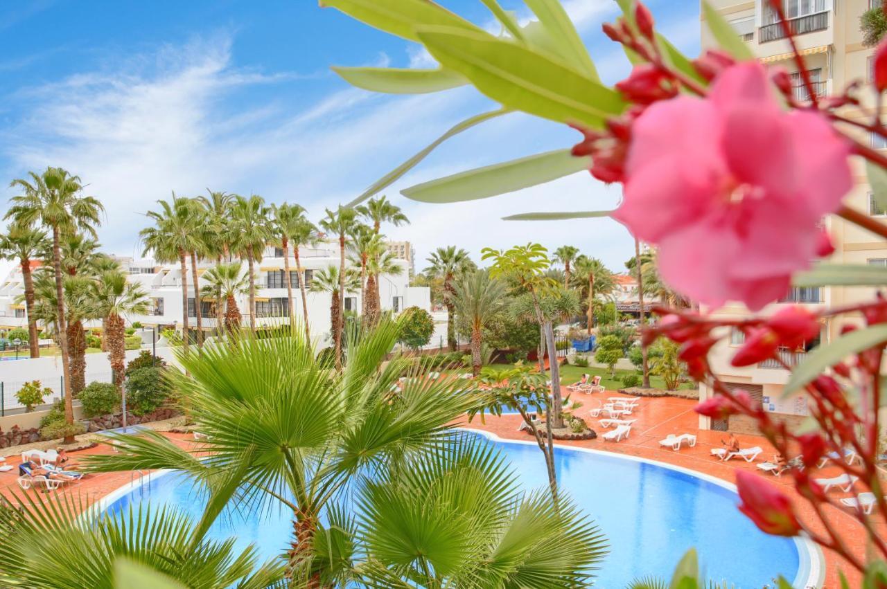 Studio Eldorado In Playa De Las Americas Near The Beach Arona  Ngoại thất bức ảnh